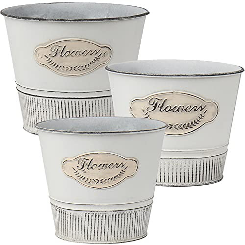 Oairse Lot de 5 pots de fleurs en métal galvanisé vintage en zinc pour plantes ou décoration de ferme moderne d'intérieur ou d'extérieur