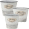 Oairse Lot de 5 pots de fleurs en métal galvanisé vintage en zinc pour plantes ou décoration de ferme moderne d'intérieur ou d'extérieur