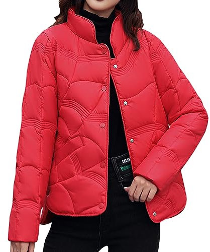 Générique Doudoune Femme Pas Cher Doudoune Matelassée Pliable Blouson Doudounes Legeres Courtes Mi Saison Hiver Longues Manches Doudoune Doux Confort Outdoor