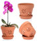 SUMTree 15cm Terracotta Orchid Pots, 3 Pack Terracotta Orchid Pots with Holes and Saucers, Small Terra Cotta Orchid Pot, Plant Flower Pots for Orchid Indoor Outdoor Promotes Air Circulation