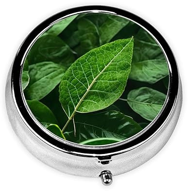 Green Leaf Nature Metal Iron Electroplating, Round Pill Box, 2.0x2.0x0.7 inches, with 3 Plastic compartments