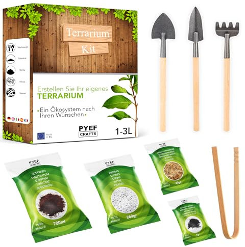 Kit Terrario Plantas DIY - Set Ecosistema Cerrado Plantas para Jardin en Botella (1-2L) - Terrarium para Bosque Eterno de Interior - Kit Creación de Terrario Sin Planta (Set sin Frasco, M)