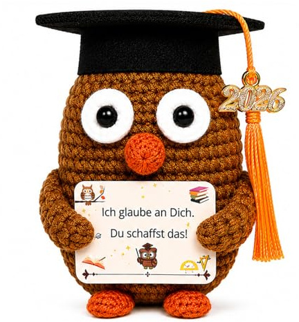 Scinzene Eulen Abschlussgeschenk 2026, Bachelor Geschenk mit Häkel Eule und Karte, Geschenk Bachelor Abschluss als Schultüte Erwachsene, Kleine Deko Figur für Abi Studium Prüfung Motivation