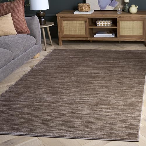 SAFAVIEH Vision Accent Rug 3x5, Modern Tonal Light Brown VSN606C