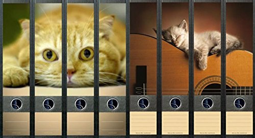 8er Set breite Ordnerrücken Katze Gitarre Aufkleber Etiketten Deko 449 070