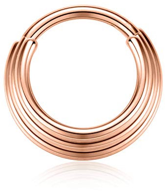 AROWRO Piercing septum à charnière en acier chirurgical 16 g - Pour le cartilage de daith hélix,