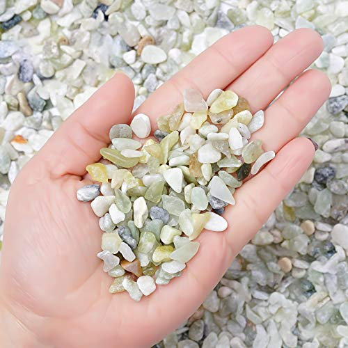 Bonsaï pour plantes grasses et cactus à faire soi-même, galets de haricots de jade, pierres décoratives naturelles polies pour plantes, terrarium, jardinage féérique, décoration intérieure et