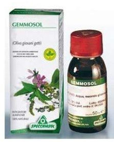 Specchiasol Gemmosol 36 Ribes Nero