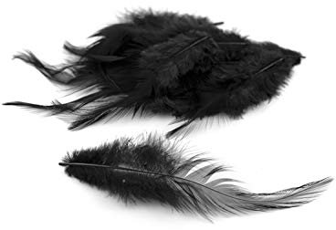 3g Hahnenkreuz Federn ca. 8-13cm (schwarz 030) // Dekofedern Bastelfedern Federn Hahn Natur Schmuckfedern Vogelfedern Hahnenfedern
