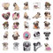 Sunnywall Sticker Mops Pug Aufkleber Set Größe A4