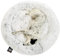 One PETS-TOP® Hundekörbchen Waschbar Fluffy – Hundebett Donut Flauschig mit Abnehmbarem Bezug – Donut Hundebett Rund für Kleine & Große Hunde 95 cm Durchmesser Perlgrau