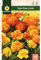Mascarell Semillas, TAGETE ENANO VARIADO, Semillas Flores Exterior para Decoración, 2 Gramos