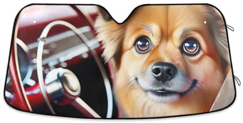 Parasol para coche con ojos grandes para coche, protección UV y reflector de calor