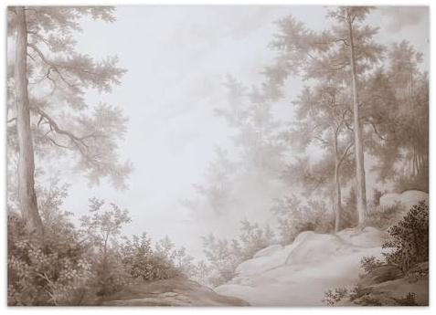 Feeby - 3d Tapete - 250x175cm - Fototapete Schlafzimmer - Wald im Nebel - Deko Wohnzimmer - Wallpaper - Wand Deko - Wandtapete - Wandbild XXL - Tapete - Wanddeko - Vliestapete - Wandbilder