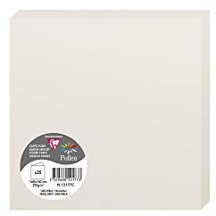 Clairefontaine 12177C Packung (mit 25 Doppelkarten Pollen, Gefaltet, 160 x 160mm) 210g, Hellgrau