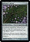 Magic: the Gathering - Diviner's Wand - Morningtide by Magic: the Gathering