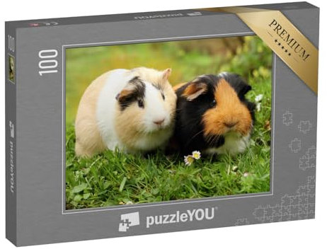 puzzleYOU: Puzzle 100 Teile „Zwei süße Meerschweinchen“ – aus der Puzzle-Kollektion Meerschweinchen