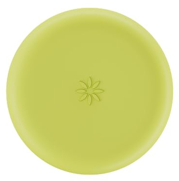 INVISALIGN Aligner and Retainer Case, Lime Green