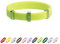 BuddyArmor Anti-Würge-Katzenhalsband, elastisches Haustierhalsband, dünn, atmungsaktiv, Länge 14 - 30 cm, 10 Farben (fluoreszierendes Grün)