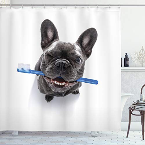 ABAKUHAUS Bulldogge Duschvorhang, Lustiger Hund mit Zahnbürste, Stoffliches Gewebe Badezimmerdekorationsset mit Haken, 175 x 220 cm, Blau Dunkelgrau und Weiß