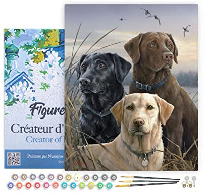 Figured'Art Peinture par Numéro Adulte avec Cadre Trio de labrador - Activité Manuelle Kit de Loisir Créatif DIY Numéro d'Art Complet - 40x50cm toile tendue sur châssis