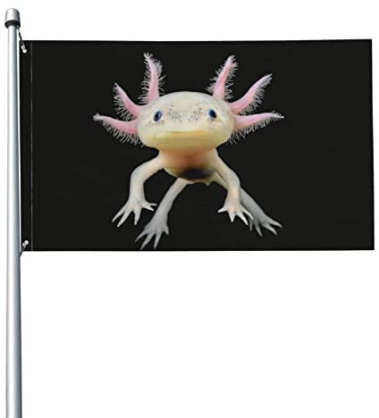 Gartenfahne Axolotl-Druck Hausfahne mit Fahne Dekoration Gartenhaus Banner für den Außenbereich 152x90cm