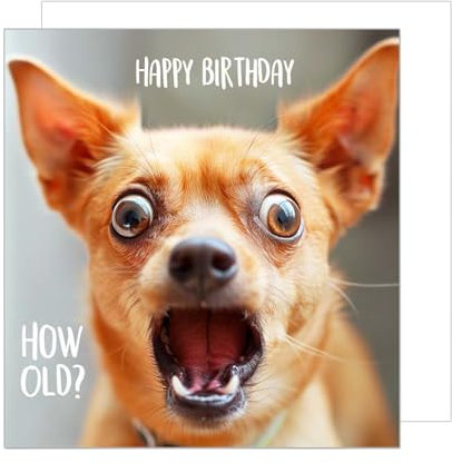 Edition Seidel Premium quadratische Geburtstagskarte mit Umschlag. Glückwunschkarte Happy Birthday Billet Tier Karte Kinder Mann Frau Cooler Hund Humor Lustig (GQ157 SW024)