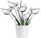 5Pcs Plastic Plant Self Watering Globes Self-Watering Bird Globe Bird Shape Design Water Globes Automatic Irrigation Device for Indoor Outdoor Garden