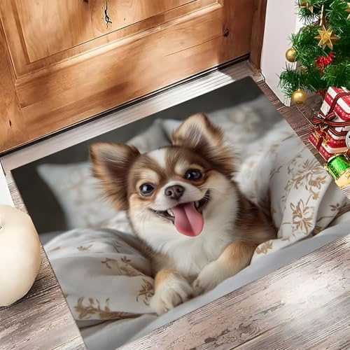 JEDTAKCT Beige Fußmatte Innen 40X60Cm, Süßer Chihuahua Waschbar Fussmatte Eingangsteppich Innen, Schmutzfangmatte rutschfest, Modernes Tier Kurzflor Türmatte Teppich Für Eingang