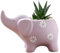 CUCUFA Flower Pots, Ceramic Animal Plant Pots, Ceramic Succulent Pots, Elephant Shaped Flower Pots, Plant Pots for Home