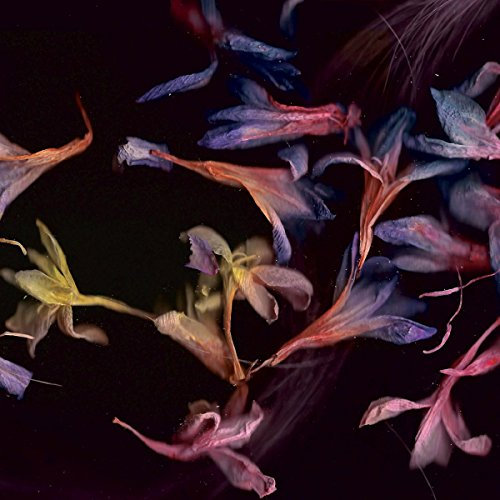 Smacht [Vinyl Maxi-Single]