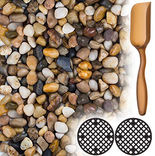 LIHAO Mixed Color Natural River Rock Garden Stones Pebbles for Plant Pots 0.5’’-0.8’’ Mini Small Pebbles for Garden, Vases, Fish Tank Stones - 1 Pound