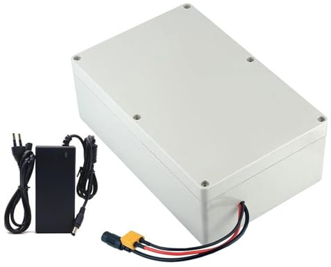 JHKZUDG Paquet De Batterie Au Lithium 24V 15Ah/30Ah,Batterie Rechargeable Portative Puissante De 24 V,Remplacement De La Batterie Intérieure 24 V pour Le Moteur,30ah