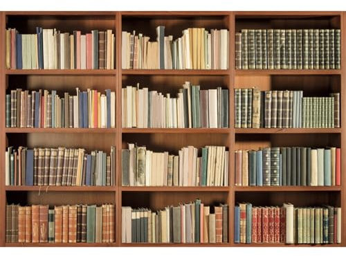 Xiaoterna 3x2,5m Vintage Bücherregal Hintergrund Retro Mittelalterliches Bücherregal aus Holz Büro Fotografie Hintergrund Alte Bücher Schulbibliothek Raum Innenhintergrund Porträt Foto Requisiten