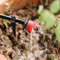 Set di 100 erogatori regolabili con 8 fori di spruzzatura per un'irrigazione efficace (rosso)