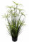 Flair Flower Zyperngras im Topf Katzengras Grasbusch Gras Ziergras Dekopflanze künstliches Zyperngras Cyperus Topfpflanze Grünpflanze Kunstpflanze Künstliche Dekopflanze Staude
