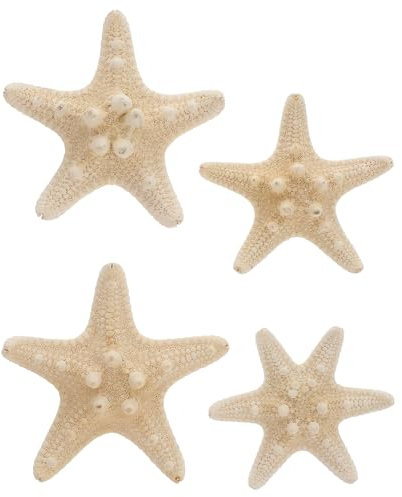 Amosfun NatüRliche Seestern Deko, 4 StüCk, 5-8cm, FüR Aquarium, Hochzeit, Heim- Und BüRodekoration, Beige