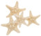 Seesterne Natürliche Echte Deko Seestern Micro Landschaft Aquarium Ornament Hochzeit Deko 5-8cm 4 Stück