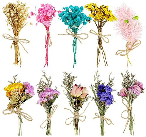 Dreamtop 10 Bündel Mini Getrocknete Blumenstrauß Bündel Getrocknete Blumenstrauss Klein Gemischte Bunt Blumenstrauß für Bilderrahmen Kunst DIY Harz Handwerk