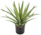 Briful Plante artificielle Agave 33 cm - Plantes artificielles en pot - Aloe vera - Plantes décoratives d'intérieur - Plantes succulentes artificielles pour la maison, la salle de bain