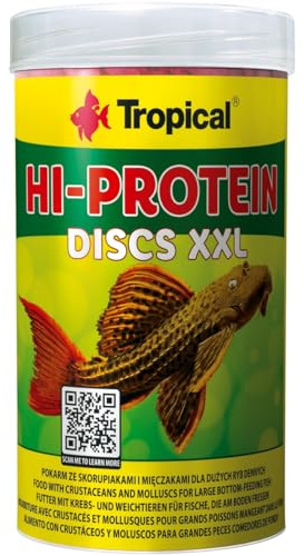 Hi-Protein Discs XXL 250ml