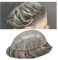 Haarteile für Männer Graues Haar, indisches Echthaarsystem, Herren-Toupet, Haarteile, 0,1–0,12 mm, komplett PU-injiziert, dünne Haut, natürlich gewelltes Herren-Toupet Echthaar Toupet für Männer ( Col