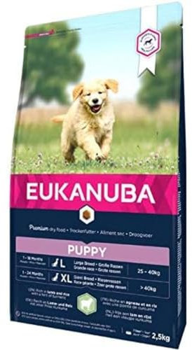 Eukanuba Welpenfutter mit Lamm & Reis für große Rassen - Trockenfutter für Junior Hunde, 2,5 kg
