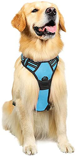 rabbitgoo Hundegeschirr Mittelgroße Hunde, Anti Zug Geschirr mit Kontrolle, No Pull Verstellbar Hundegeschirr Grosse Hunde, Atmungsaktiv Reflexstreifen Brustgeschirr Sichere Führung Hellblau L