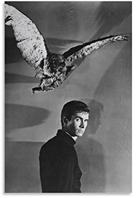HAUHAU Psycho 1960 Filmposter (2) Poster Kunstdruck Wand Foto Farbe Poster Hängendes Bild Familie Dekor 50 x 75 cm