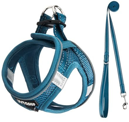 UVTQSSP Hundegeschirr Kleine Hunde mit Leine Gepolstert, Welpengeschirr, Dog Harness Hunde Geschirr Klein, Indigo blau XS
