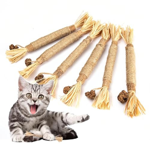 LOMSUXA 6 Pièces Bâtonnets Herbe à Chat, Jouet Chat, Bâtonnets d'herbe à Chat, Bâtons à Mâcher pour Chats, Jouets pour Chats, Jouets de Soins Dentaires pour Chats, Bâtonnets Herbe à Chat