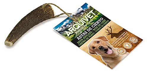 ARQUIVET Corno di cervo - Corno da masticare per cani ecologico - Corno di cervo per cane - Corno da masticare naturale - Corno di cervo raccolto autunnale - S - 15-39 g