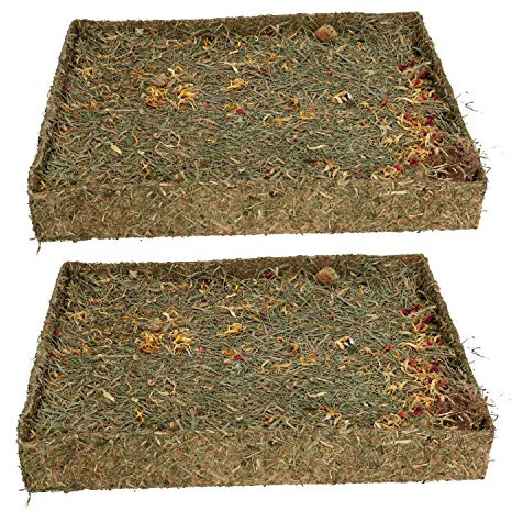 AB Tools Small Animal Pet Treat Rabbit Guinea Pig Nibble 'N' Dig Meadow