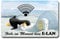 TRIOSK Kühlschrankmagnet stark Pinguin Magnet Sprüche lustig Motivation mit Spruch Kein Elan Poesie Geschenk für Pinguinliebhaber